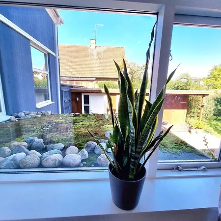 'blue House' In Vintage Villa&garden Guest house Copenhagen