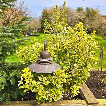 Affittacamere 'blue House' In Vintage Villa&garden *